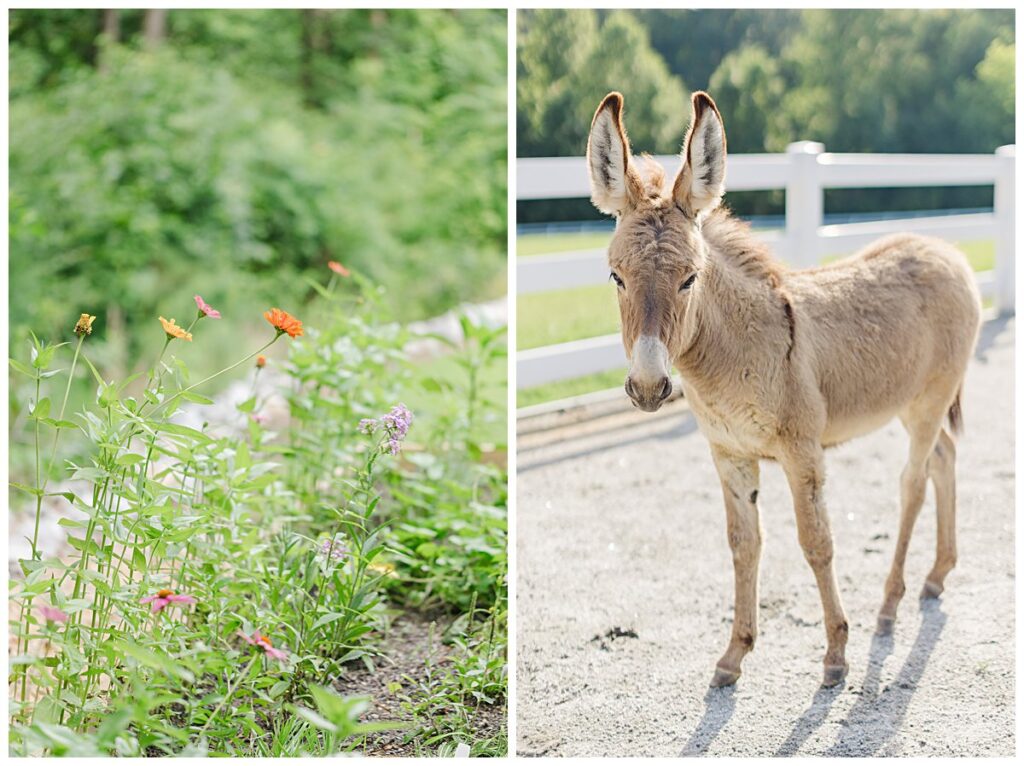 Travel with a photographer mom through Virginia—featuring lifestyle family photos from Blackstone, Colonial Beach, and Richmond.