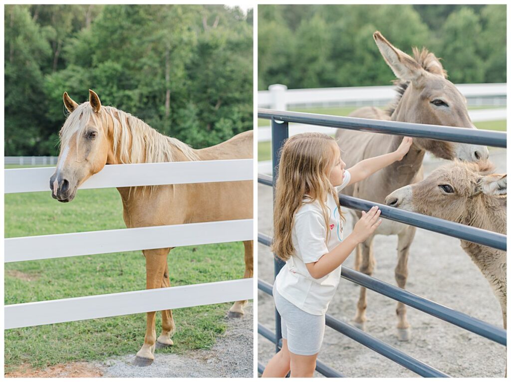 Lifestyle family photos in Virginia - family vacation in Blackstone