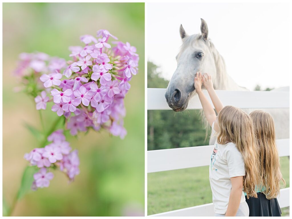 Lifestyle family photos in Virginia - family vacation in Blackstone